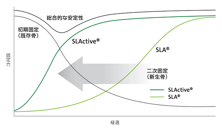 経過に対する固定力のグラフ